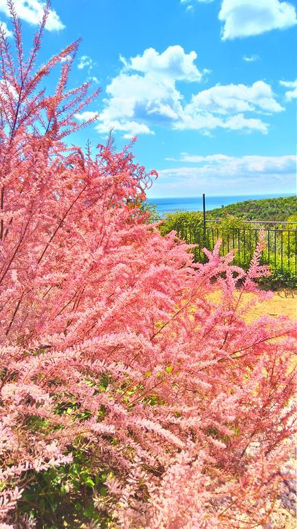 Villa Topola Bagian luar foto